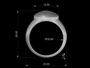 egyptian scarab ring 3D Принт Модель
