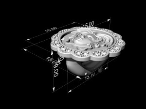 Medusa in rose earrings 3D Принт Модель