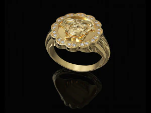 Medusa in rose ring 3D Print Model