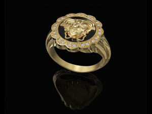 Medusa in rose ring 3D प्रिंट मॉडल
