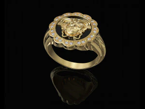 Medusa in rose ring 3D Print Model