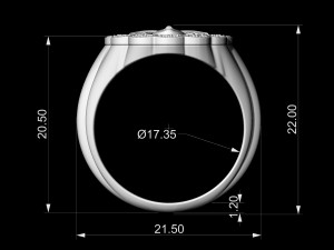 Medusa in rose ring 3D प्रिंट मॉडल