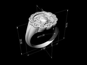 Medusa in rose ring 3D Print Model