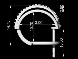 branches ring with inner band Modello di stampa 3D