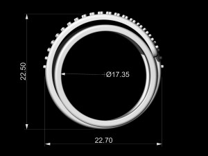 branches ring with inner band 3D-printmodel