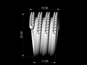 branches ring with inner band 3D-printmodel