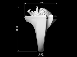 кільце хижака 3D Принт Модель