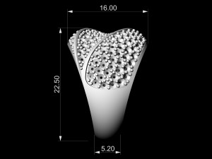 three lanes ring 3D Print Model