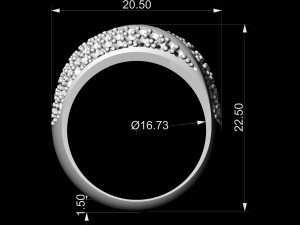 three lanes ring 3D Print Model