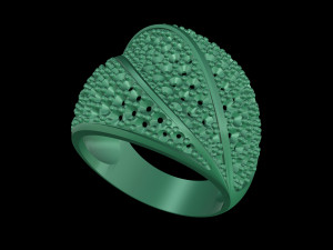 three lanes ring 3D Print Model