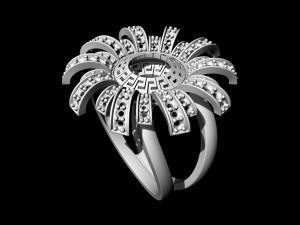 Brilliant sun ring 3Dプリントモデル