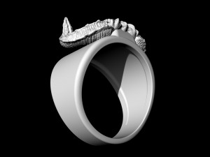 Balrog Ring 3D-printmodel