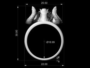 Balrog Ring 3D-printmodel