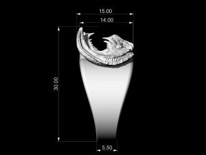 Balrog Ring 3D-printmodel