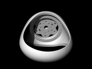 Star knot ring 3D 프린트 모델