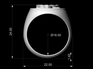 Star knot ring 3D 프린트 모델
