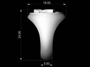 Каблучка зі зірковим вузлом 3D Принт Модель