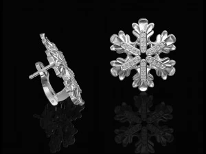 Круглі листя Сережки 3D Принт Модель