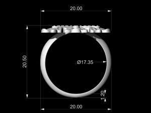 Round leaves ring Modello di stampa 3D
