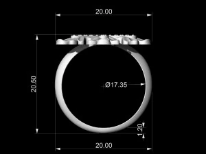 Круглі листочки кільцем 3D Принт Модель