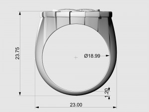Yin Yang-Carp fishes Ring 3Dプリントモデル