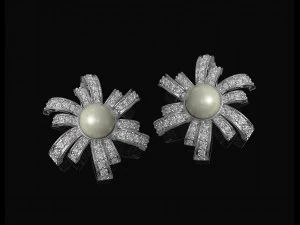 Pearl fan earrings 3D Print Model