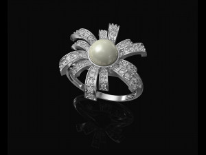 Pearl fan ring 3D 打印模型