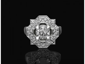 Fancy earrings with gems 3D Print Model