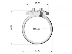 Fancy earrings with gems 3D Print Model