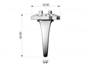 Fancy earrings with gems 3D Принт Модель