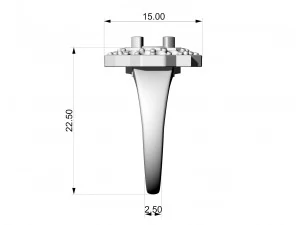 Fancy earrings with gems 3D Print Model