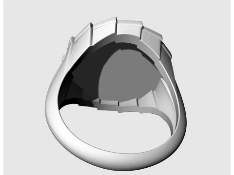 타이거 헤드 링 3D 프린트 모델