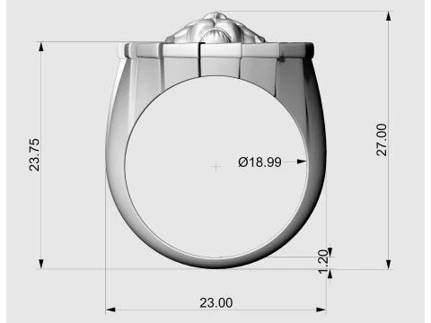 타이거 헤드 링 3D 프린트 모델