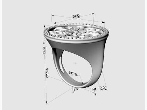 Gothic floral ring with diamond frame Model Cetak 3D