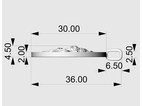 Кулон Лев-овальний кулон 3D Принт Модель