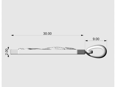 Геральдичний нестримний лев підвіска-v2 3D Принт Модель