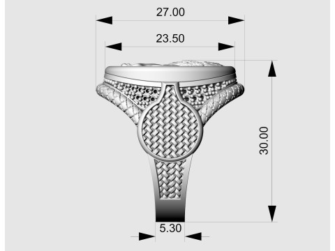 Heraldic rampant lion ring 3D Print Model