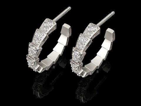 Dragon tail earrings 3D Print Model