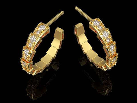 Dragon tail earrings 3D Print Model