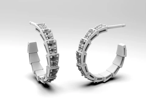 Dragon tail earrings 3D Print Model