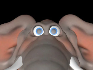 elefante divertente Modello 3D