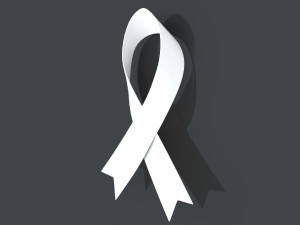 ribbon Modelo 3D