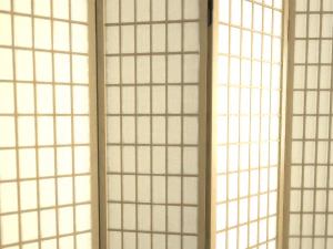 room divider screens set 3D Model