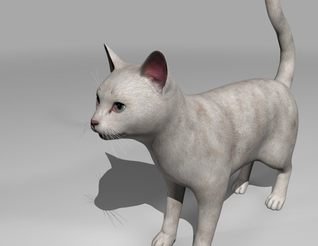 white cat rigged gift Modelo 3D .c4d .max .obj .3ds .fbx .stl .blend 