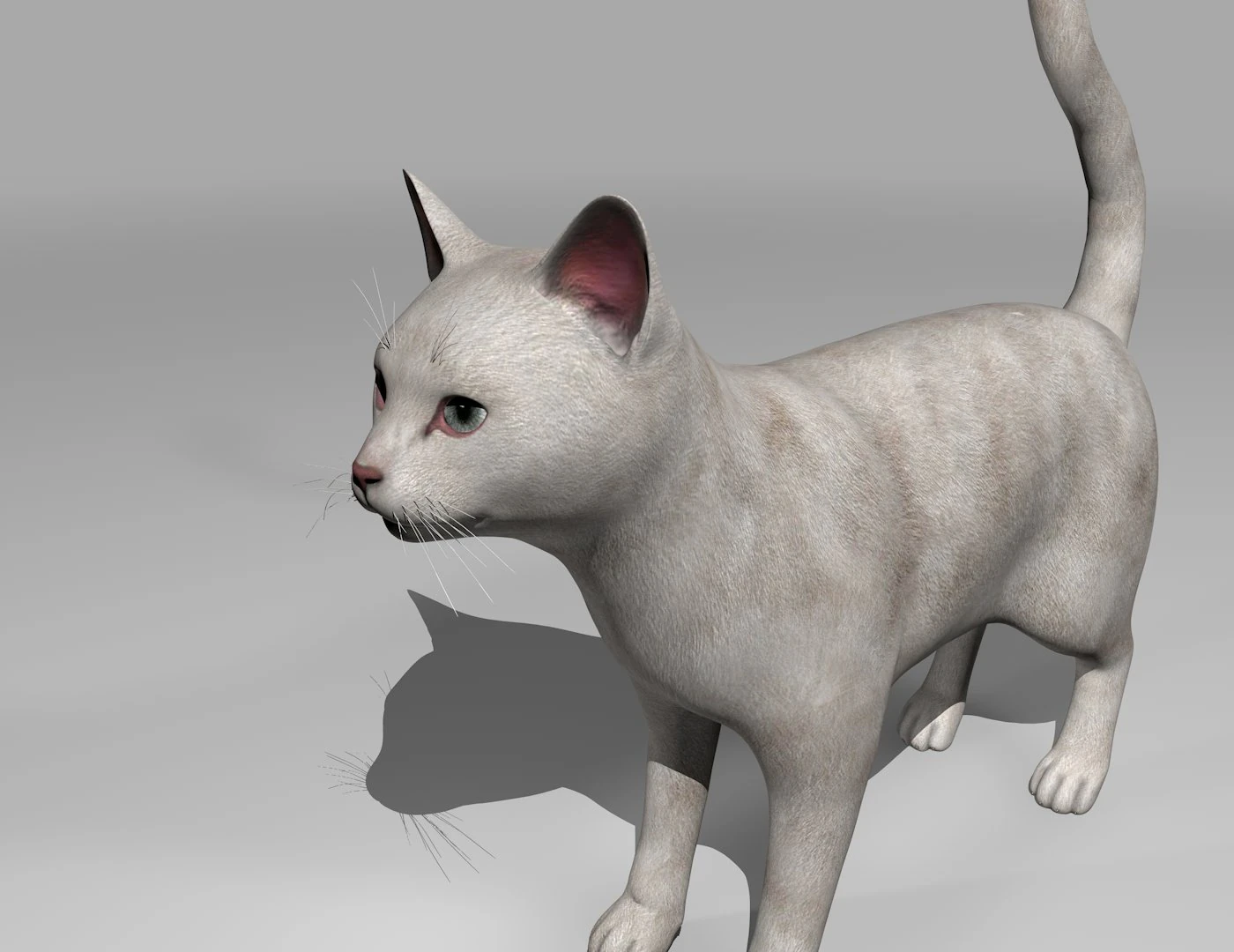 presente manipulado de gato branco Modelo 3D .c4d .max .obj .3ds .fbx .stl .blend 
