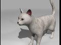 presente manipulado de gato branco Modelo 3D