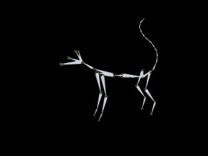 white cat rigged gift Modelo 3D