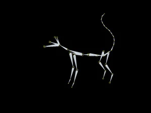 presente manipulado de gato branco Modelo 3D