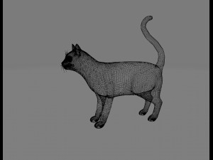 white cat rigged gift Modelo 3D