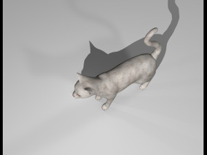 white cat rigged gift Modelo 3D